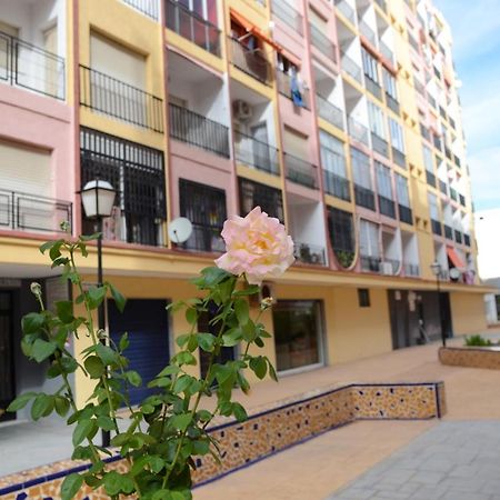 Econom Studio La Loma Apartment Torrevieja Bagian luar foto